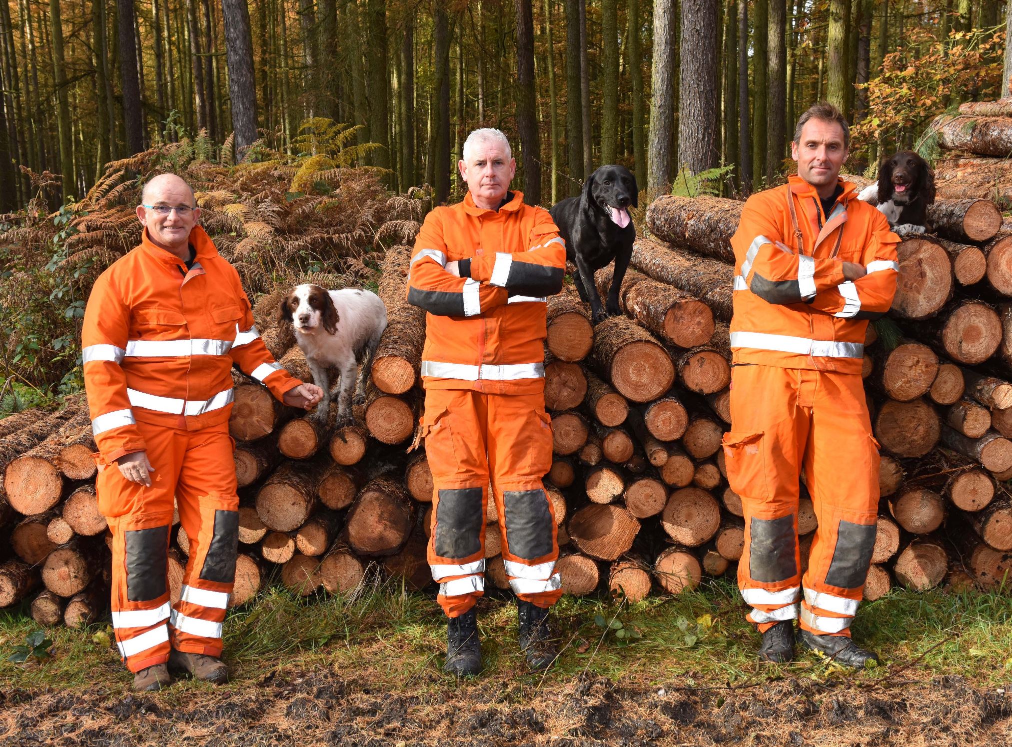 3 Urban search and rescue firefighters stood with 3 urban search and rescue dogs.