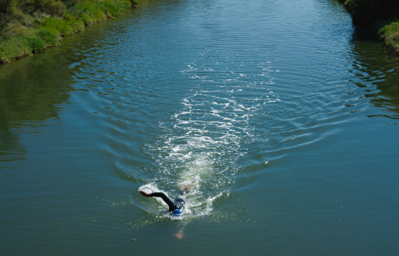 Open water swimmer, swimming in canal
