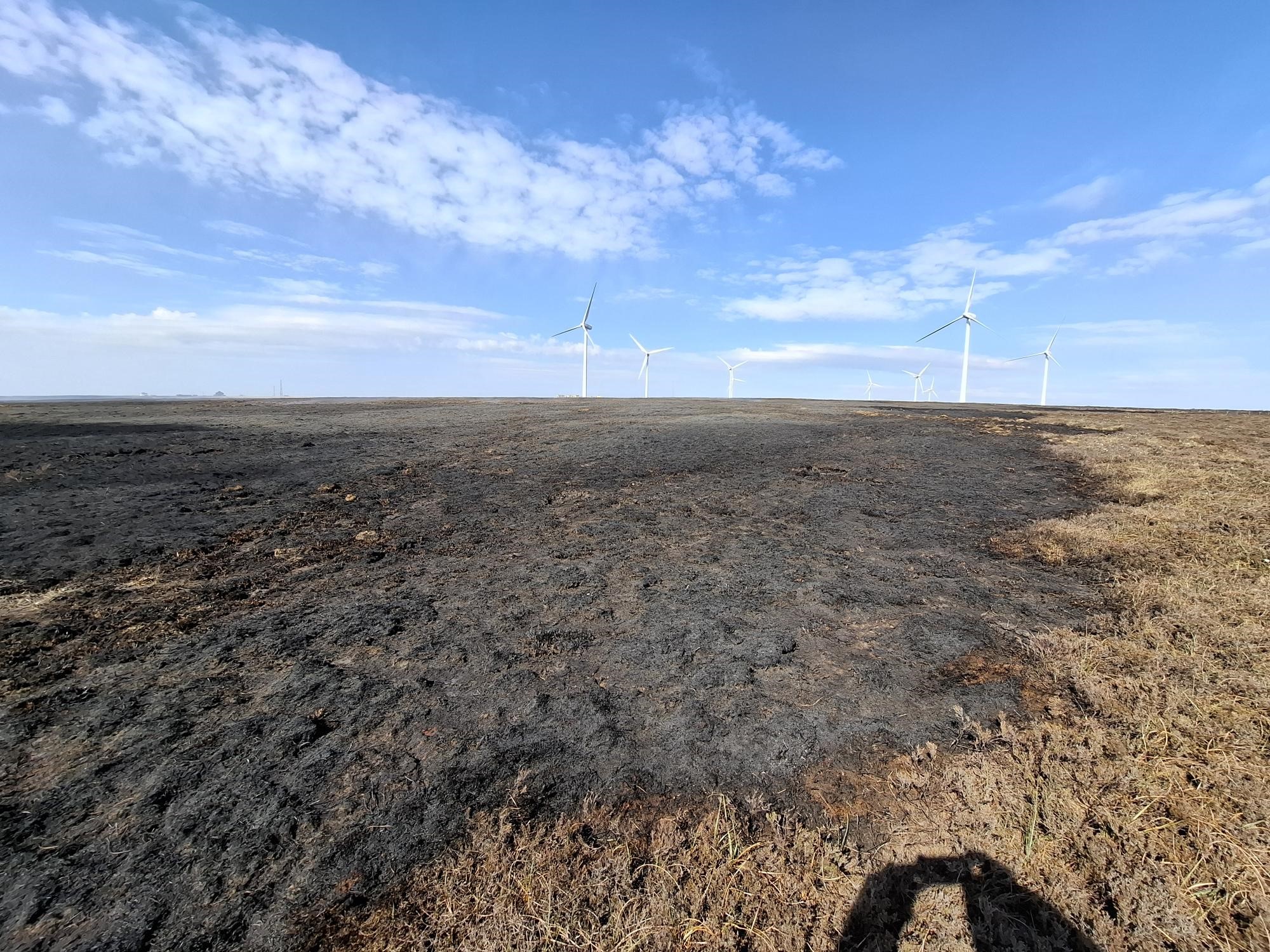 MOORLAND FIRE