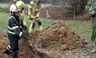 Prince the horse is rescued from a sink hole