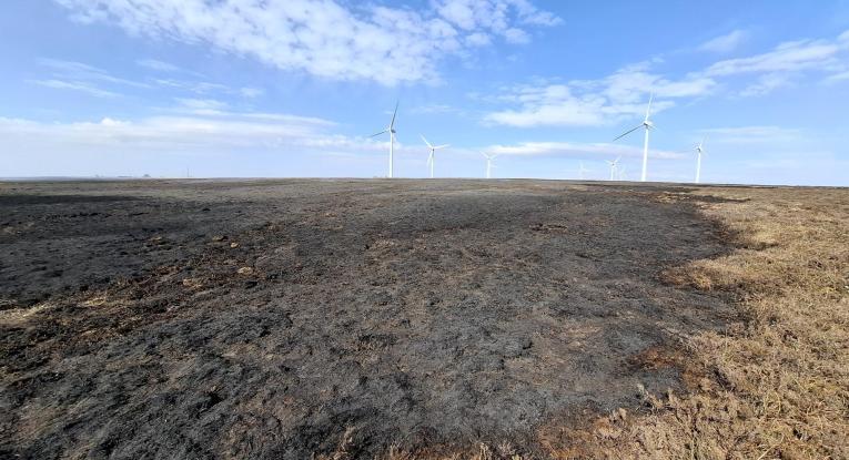 MOORLAND FIRE