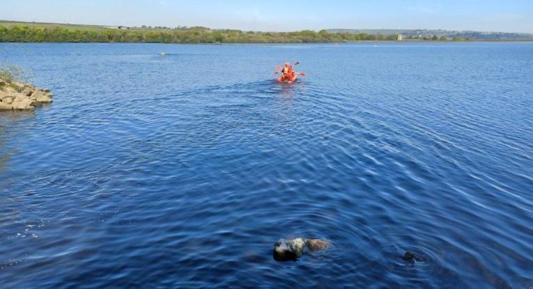 water safety
